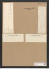 Homoeocladia martiana var. div. Ag. (de-Toni-Nr.: Genus 48, Species 2182) Zeichnungen Sammlung Grunow Nr. 4576 (NHMW-BOT-W0372585)